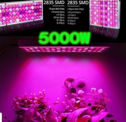 75pcs LED Plant Grow Light: photo 3 of 4 from the OPSS notice of 15 Jan 2021