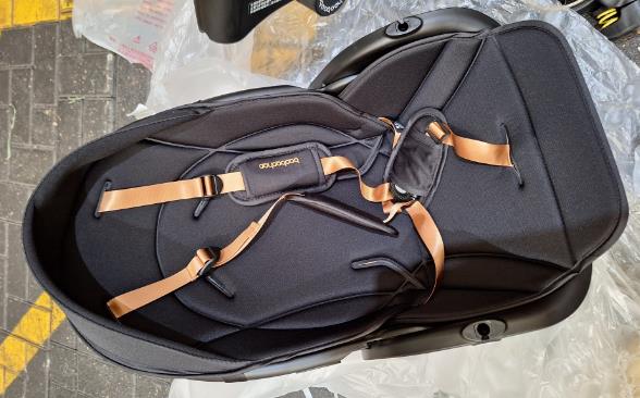 Baobaohao Black Baby Stroller V9-C: photo 2 of 2 from the OPSS notice of 1 Nov 2024