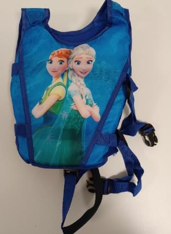 Child's Frozen Swimming Aid Vest sold on Fruugo: photo 2 of 2 from the OPSS notice of 7 May 2024