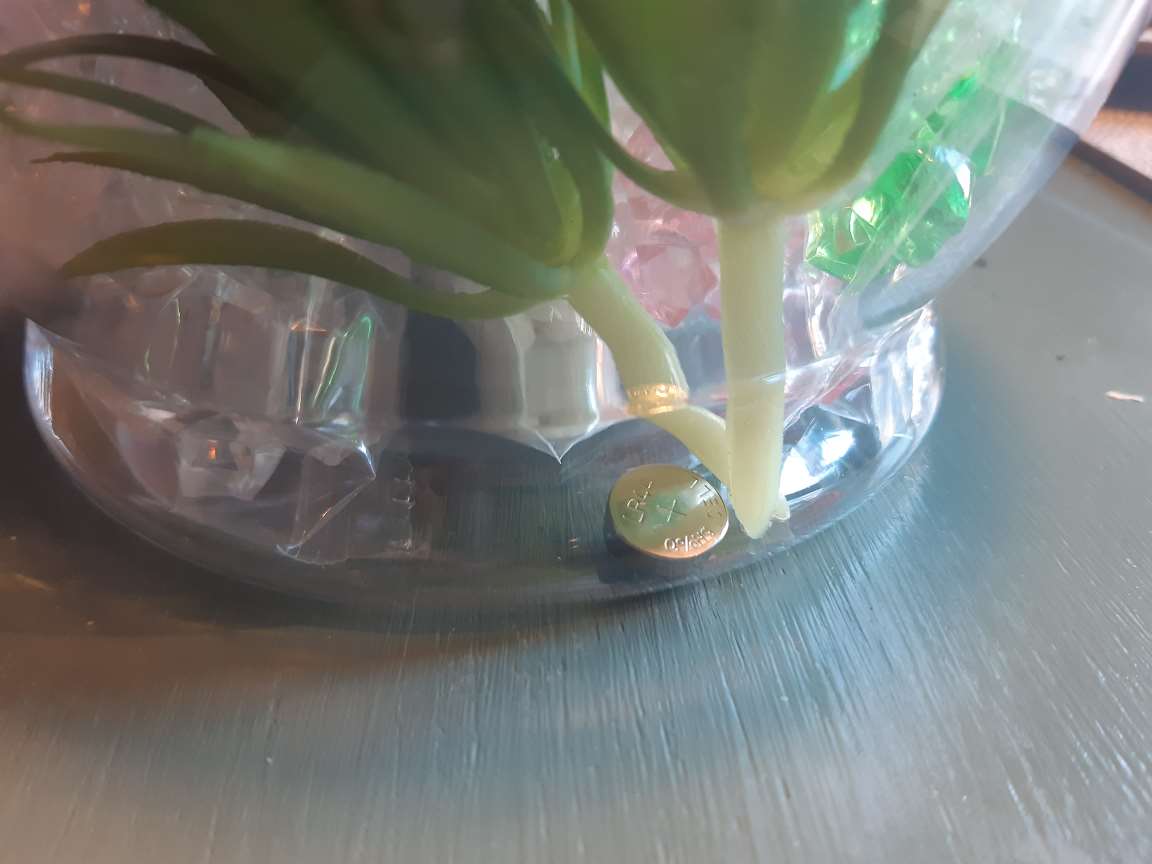 DiY Unicorn Terrarium Toy sold on Amazon: photo 2 of 2 from the OPSS notice of 14 Jul 2022