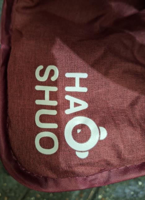 Hao Shuo Baby Stroller: photo 2 of 2 from the OPSS notice of 8 Jan 2025