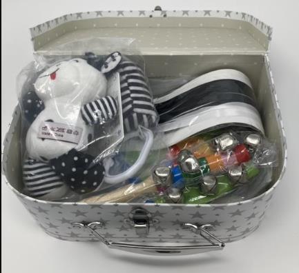 Newborn Sensory Toy: photo 2 of 2 from the OPSS notice of 24 Oct 2022