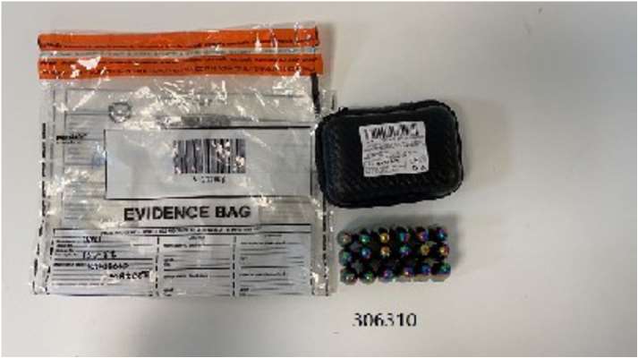 Refrigerator Rattle Magnets Spinning Buzzing Snake Eggs: photo 2 of 2 from the OPSS notice of 16 Feb 2023