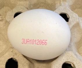 Shell eggs originating from Yasensvit Ltd, Ukraine: photo 2 of 2 from the FSA notice of 10 Oct 2026