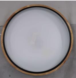 Ultra-Thin Design Home Ceiling Light GX3055-BK40-NTR: photo 2 of 2 from the OPSS notice of 13 Nov 2025